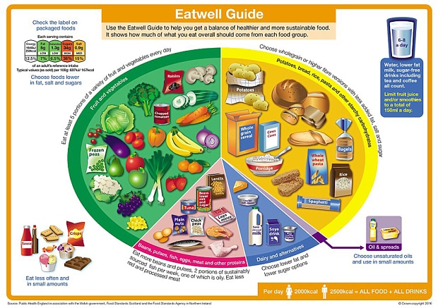 eatwell plate - government advice on healthy eating (flawed)